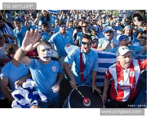 狼队与布里斯托尔流浪的激烈对决展现足球魅力与团队精神